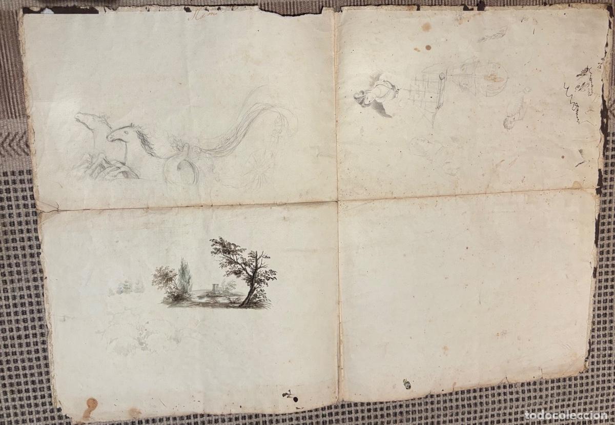 Documentos antiguos: Documento y dibujos sobre las peras hacia 1840 - Foto 6