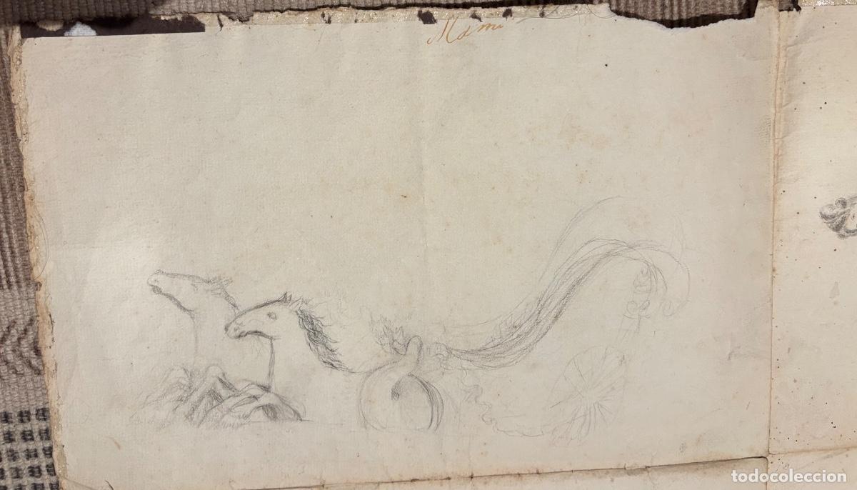 Documentos antiguos: Documento y dibujos sobre las peras hacia 1840 - Foto 8