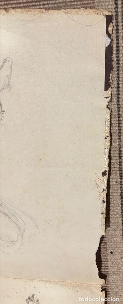 Documentos antiguos: Documento y dibujos sobre las peras hacia 1840 - Foto 10