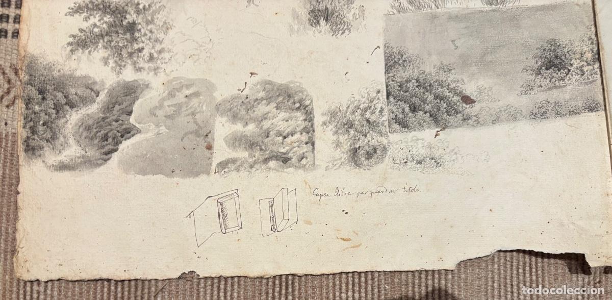 Documentos antiguos: Documento y dibujos sobre las peras hacia 1840 - Foto 13