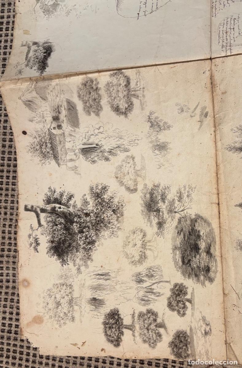 Documentos antiguos: Documento y dibujos sobre las peras hacia 1840 - Foto 16