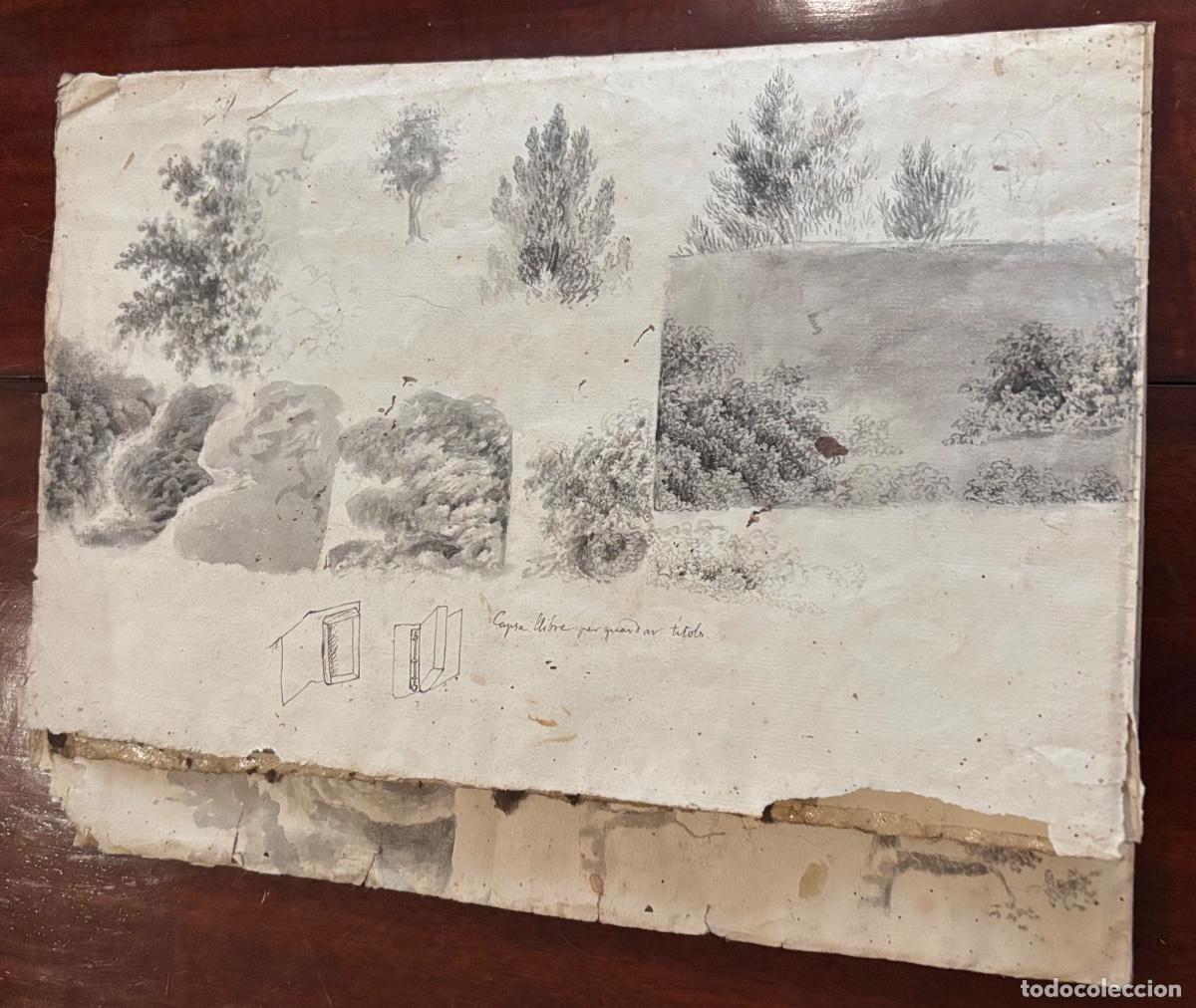 Documentos antiguos: Documento y dibujos sobre las peras hacia 1840 - Foto 17