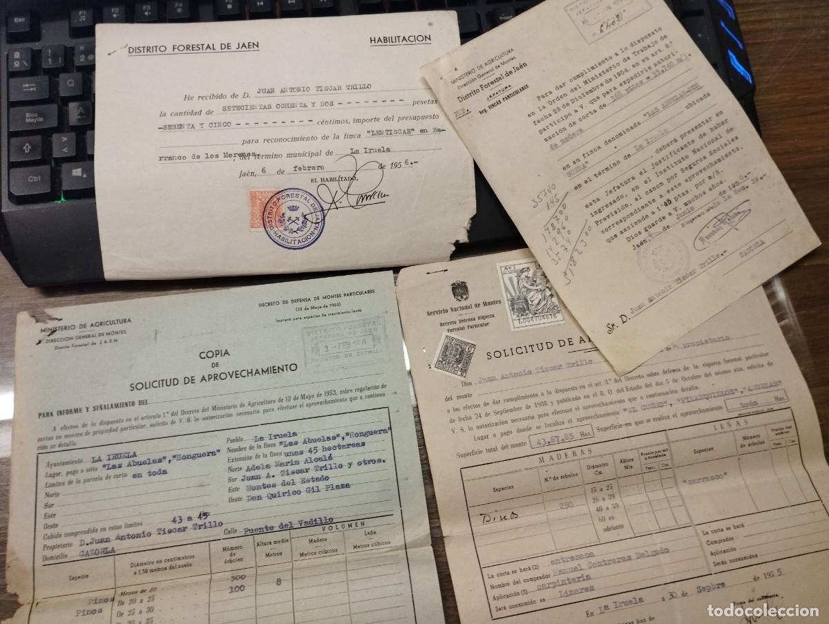 Documentos antiguos: DISTRITO FORESTAL DE JAEN, RECONOCIMIENTO DE FINCA Y APROVECHAMIENTOS.