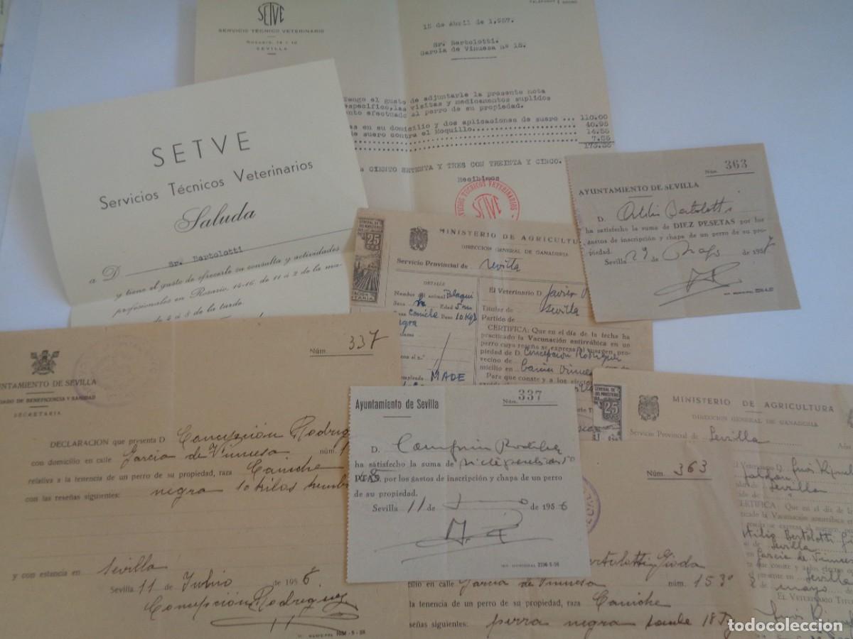 Documentos antiguos: LOTE 8 DOCUMENTOS POR TENENCIA DE PERRO: VETERINARIO, AYUNTAMIENTO SEVILLA, ETC . , 1957