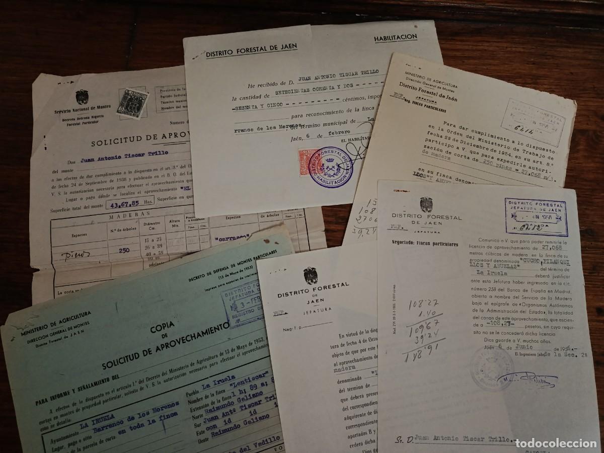 Documentos antigos: DISTRITO FORESTAL DE JAEN, RECONOCIMIENTO DE FINCA Y APROVECHAMIENTOS.