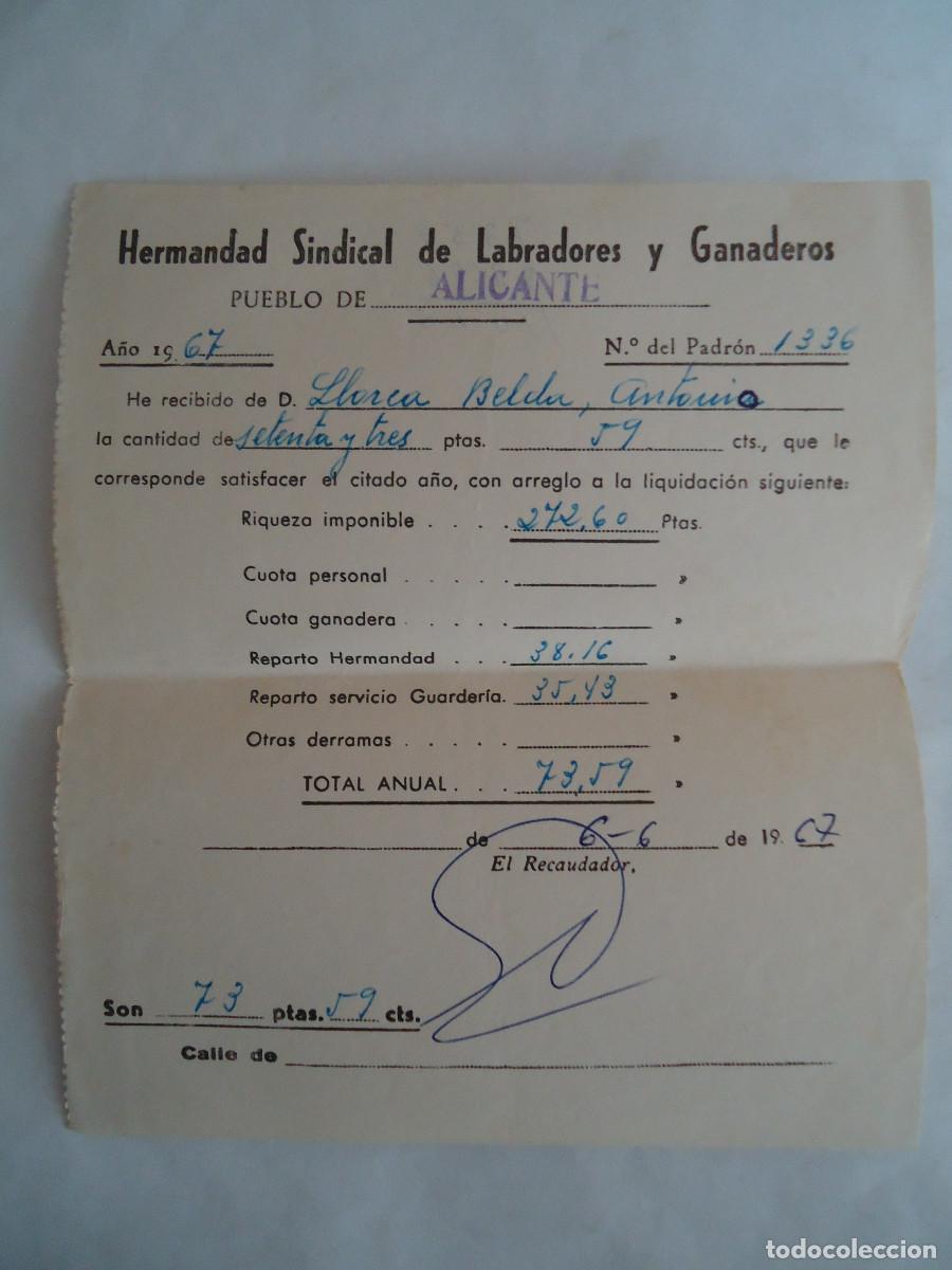 Documents Anciens: RECIBO DE LA HERMANDAD SINDICAL DE LABRADORES Y GANADEROS DE ALICANTE. A&Ntilde;O 1967. PP -13