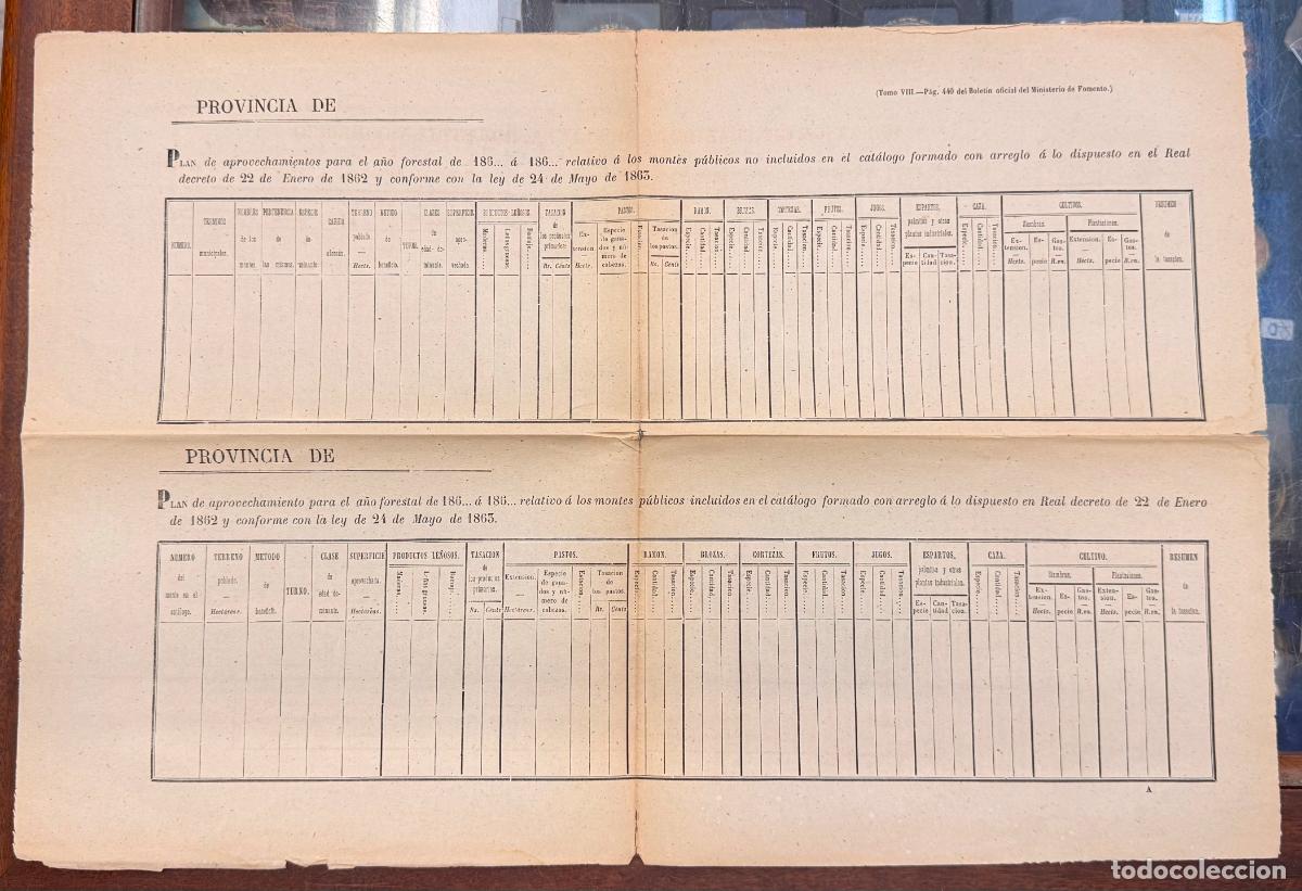 Documentos antiguos: AGRICULTURA A&Ntilde;O FORESTAL 1863 DOCU-46
