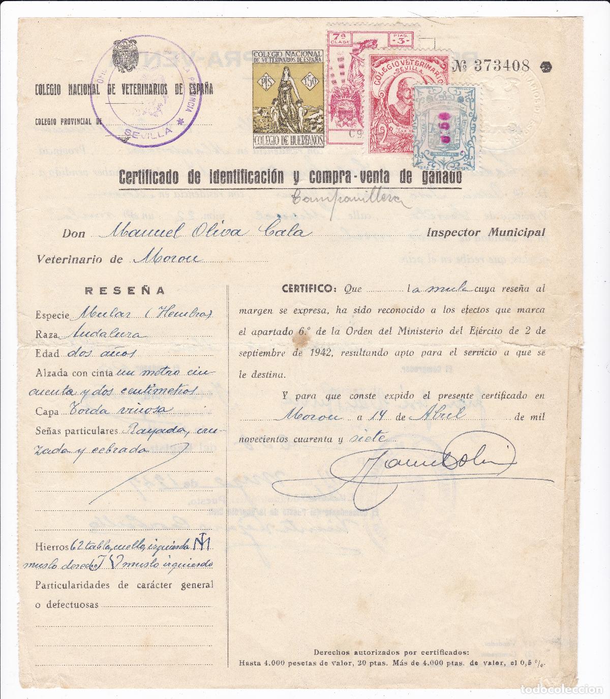 Documentos antiguos: Certificado de identidad de ganado y recibo de compra-venta. A&ntilde;o 1947. Sellos fiscales, p&oacute;lizas, etc