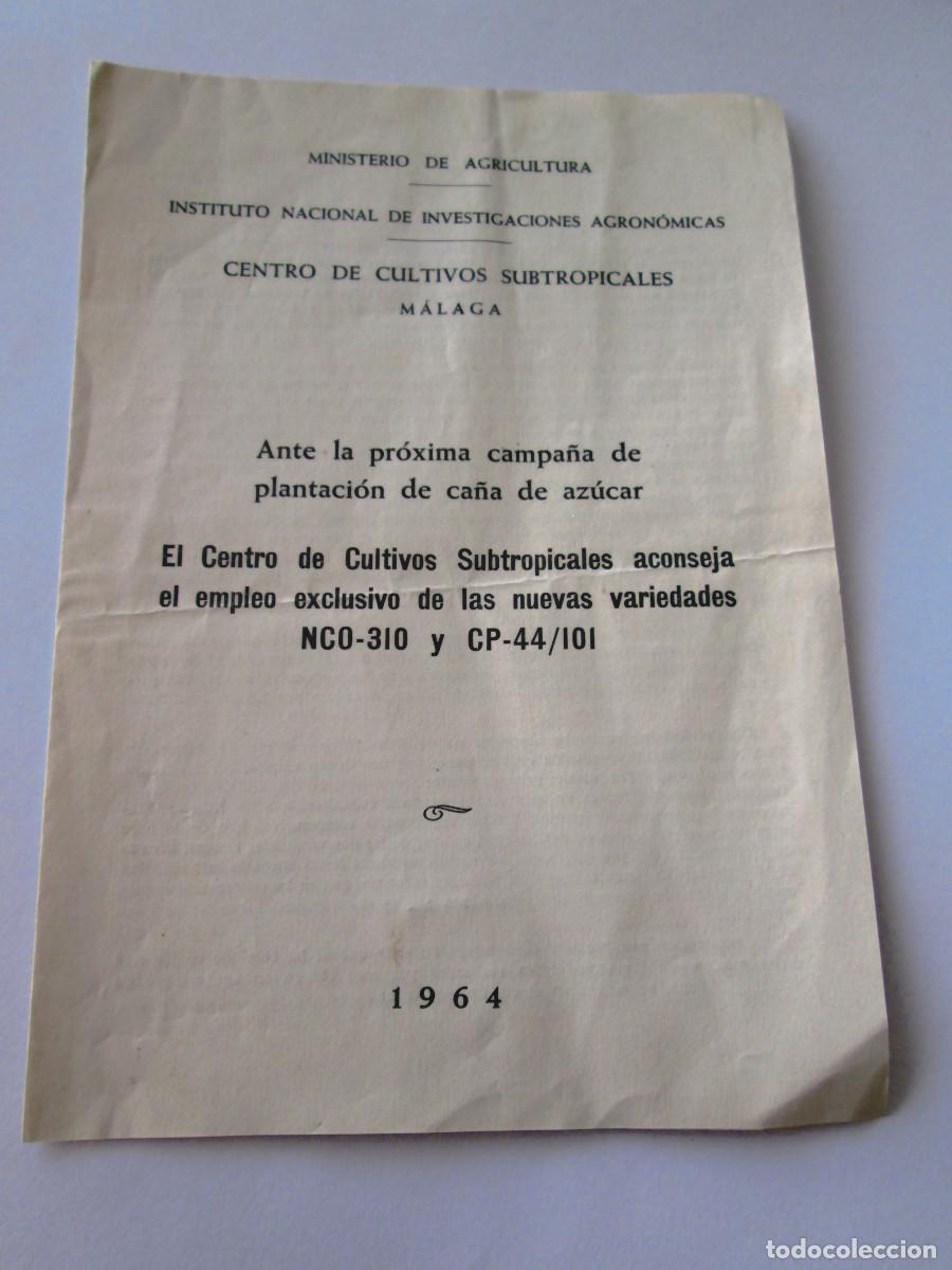 Documentos antiguos: MINISTERIO AGRICULTURA CENTRO CULTIVOS SUBTROPICALES MALAGA - 1964