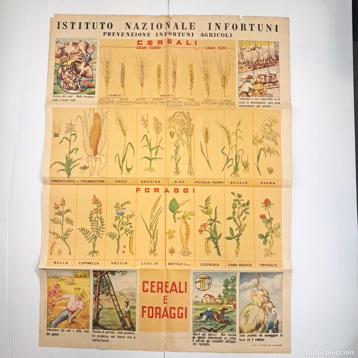 Documentos antiguos: Manifesto Dell'Istituto Nazionale Infortuni, prevenzione degli infortuni agricoli - ristampa 1947