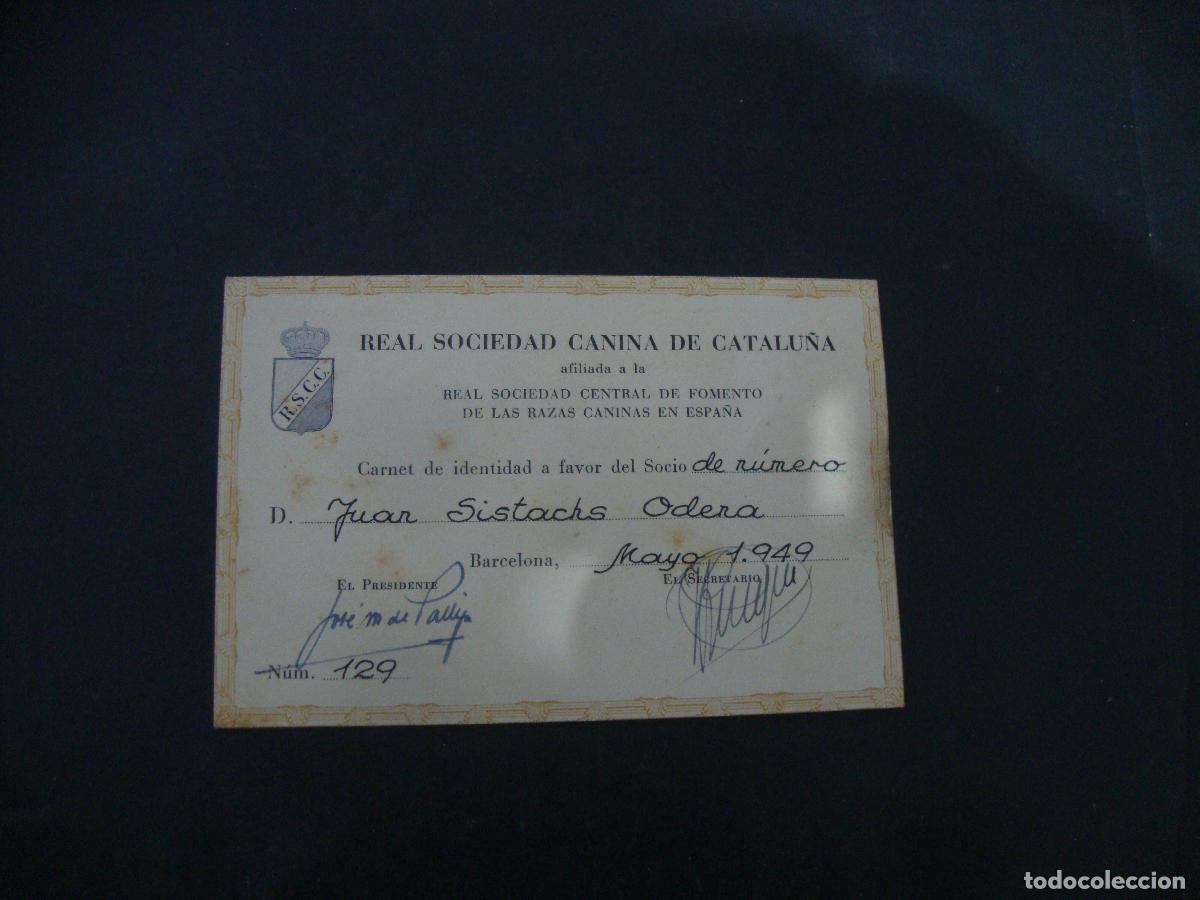 Documentos antiguos: CARNET CREDENCIAL REAL SOCIEDAD CANINA DE CATALU&Ntilde;A 1949