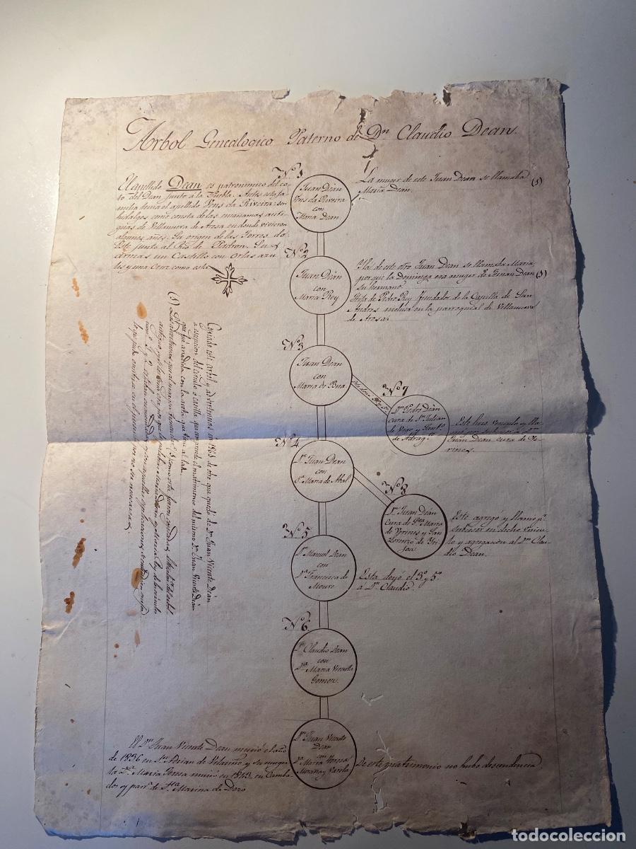 Documentos antiguos: Pontevedra. Vilanova de Arosa. &Aacute;rbol geneal&oacute;gico de Claudio Dean