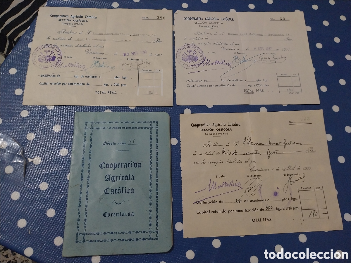 Documentos antiguos: Libreta y recibos Cooperativa Agricola Cat&oacute;lica de Cocentaina a&ntilde;os 1954-57