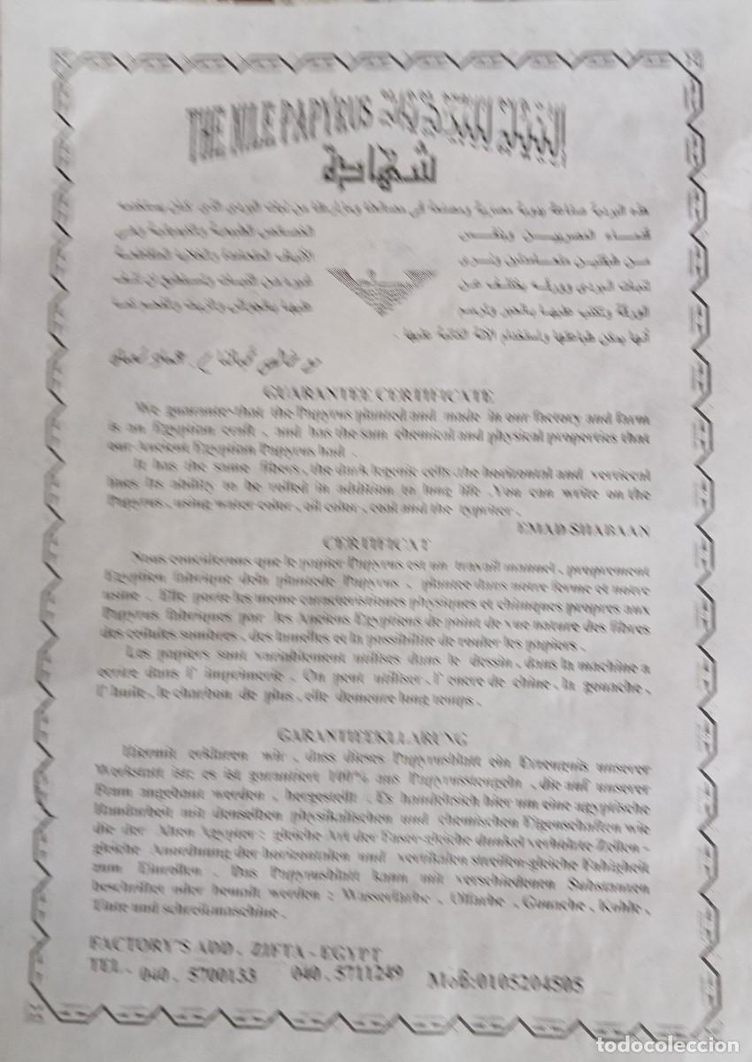 Documentos antiguos: CONJUNTO DE TRES PAPIROS DEL NILO, ORIGINALES Y CON SU CERTIFICADO - Foto 4