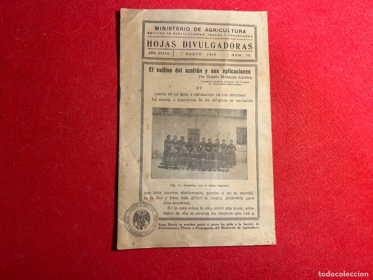 Documentos antiguos: Hojas Divulgadoras N&ordm; 10 de 1945 Ministerio de Agricultura - el cultivo del azafran