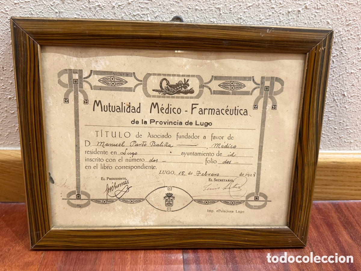 Documentos antiguos: Cuadro Vintage: T&iacute;tulo Mutualidad M&eacute;dico-Farmac&eacute;utica Lugo (1928)
