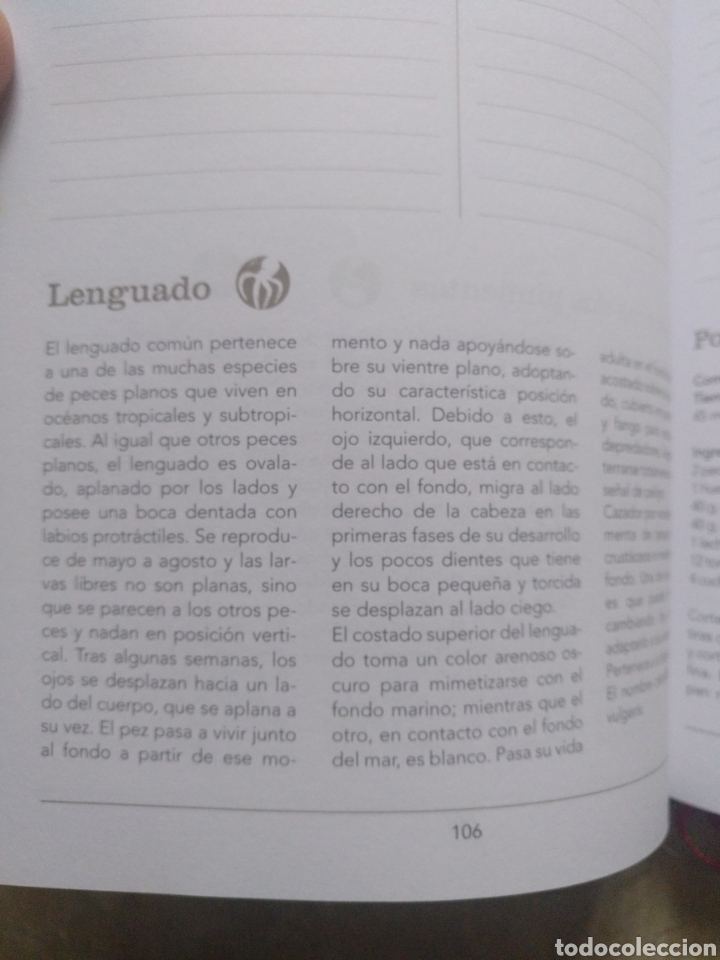 Documentos bancarios: AGENDA CAJASTUR 2005 - Foto 3