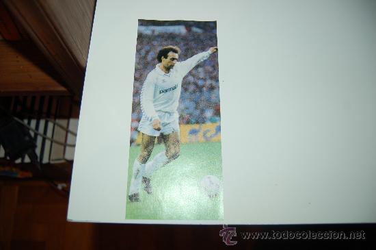 Coleccionismo deportivo: REAL MADRID: Recorte de RICARDO GALLEGO. 1987 - Foto 1