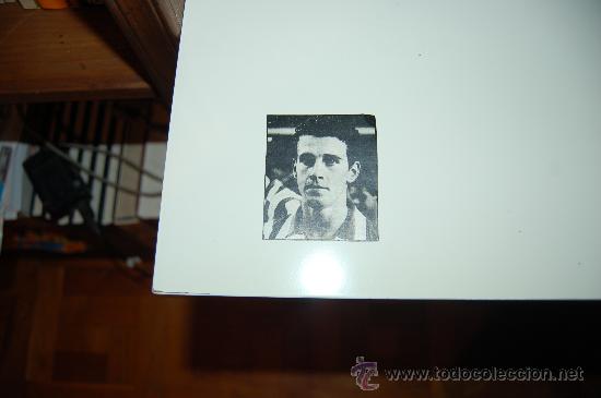 Coleccionismo deportivo: ATL&Eacute;TICO DE MADRID: Recorte de JULIO ALBERTO. 1982 - Foto 1