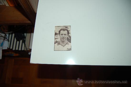 Coleccionismo deportivo: HAMBURGO SV: Recorte de BECKENBAUER - Foto 1