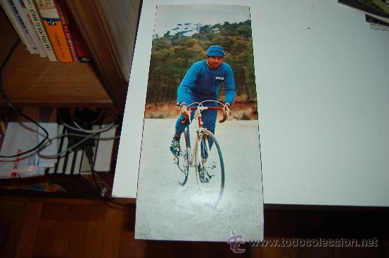 Coleccionismo deportivo: CICLISMO: Gran recorte de JAIME HU&Eacute;LAMO. 1973 - Foto 1
