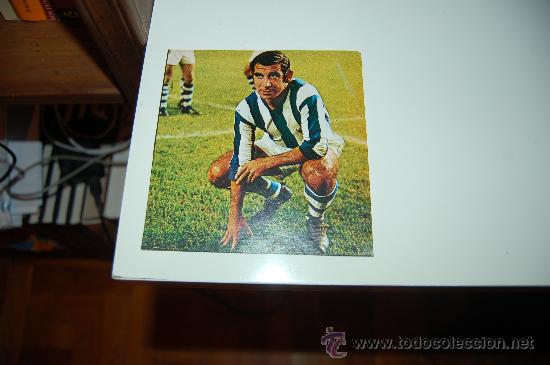 Coleccionismo deportivo: REAL SOCIEDAD: Recorte de FERNANDO ANSOLA. 1973 - Foto 1