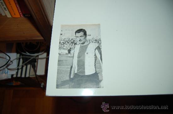 Coleccionismo deportivo: H&Eacute;RCULES DE ALICANTE: Recorte de FUST&Eacute;. 1973 - Foto 1