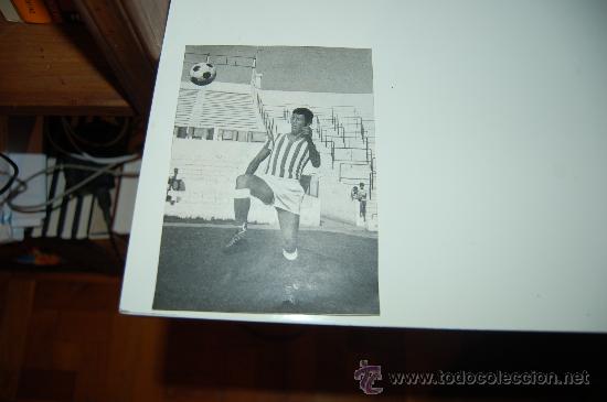 Coleccionismo deportivo: REAL BETIS BALOMPI&Eacute;: Recorte de ROGELIO. 1973 - Foto 1