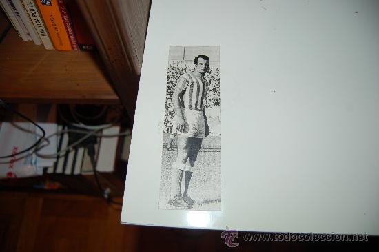 Coleccionismo deportivo: REAL BETIS BALOMPI&Eacute;: Recorte de DEL POZO. 1973 - Foto 1