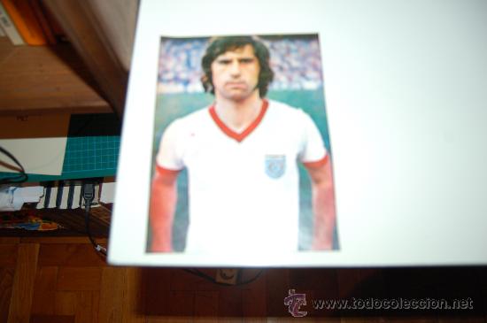 Coleccionismo deportivo: BAYERN MUNICH ( M&Uuml;NCHEN ): Gran recorte de GERD TORPEDO MULLER. 1972-73 - Foto 1