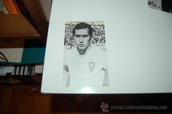 Coleccionismo deportivo: REAL ZARAGOZA: Recorte de SANTOS, uno de los 5 MAGN&Iacute;FICOS - Foto 1