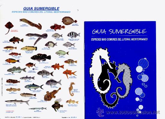 Sammelleidenschaft Sport: ESPECIES M&Aacute;S COMUNES DEL LITORAL MEDITERR&Aacute;NEO, GU&Iacute;A SUMERGIBLE, Env&iacute;o gratis