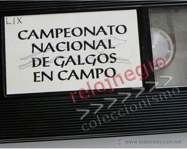 Collectionnisme sportif: LIX CAMPEONATO NACIONAL DE GALGOS EN CAMPO - COPA REY MEDINA DEL CAMPO A&Ntilde;OS 90 - PERROS DEPORTE VHS