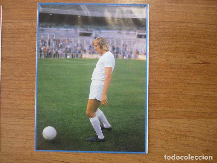 Sammelleidenschaft Sport: LAMINA MAXI CROMO REAL MADRID ASEGURATOR GRUPO OTAYSA N&ordm; 83 GUNTER NETZER - 24 X 18 CMS.