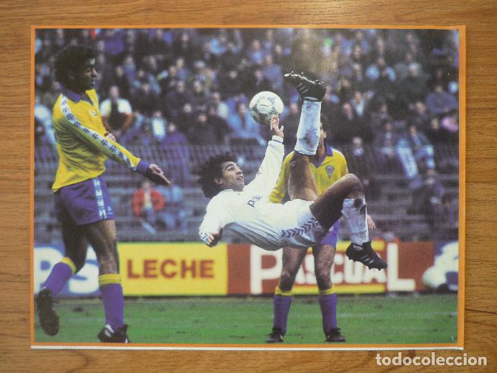 Sammelleidenschaft Sport: LAMINA MAXI CROMO REAL MADRID ASEGURATOR GRUPO OTAYSA N&ordm; 115 HUGO SANCHEZ - 24 X 18 CMS.