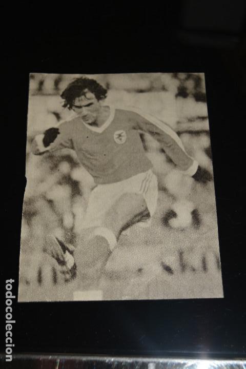 Coleccionismo deportivo: RECORTE DE PERIODICO MARCA.ALVES (BENFICA) - Foto 1