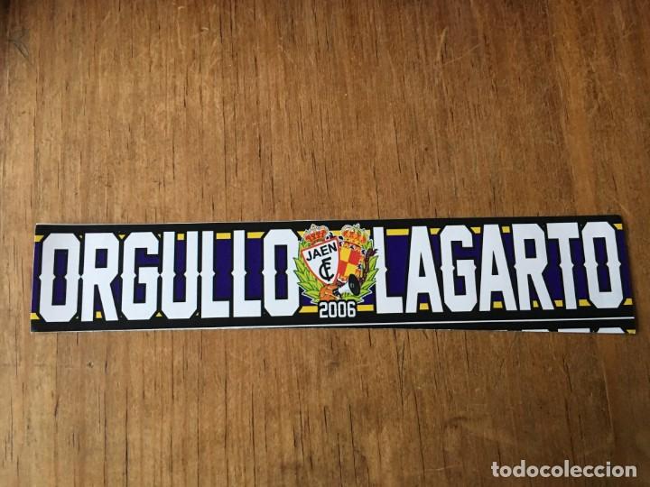Sports collectibles: R4975 PEGATINA ADHESIVO POLITICA FUTBOL ULTRAS ORGULLO LAGARTO REAL JAEN