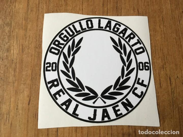 Sports collectibles: R4985 PEGATINA ADHESIVO POLITICA FUTBOL ULTRAS ORGULLO LAGARTO REAL JAEN 2006