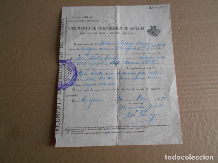Collectionnisme sportif: documento  feria de ganado de antequera  1926  muy raro
