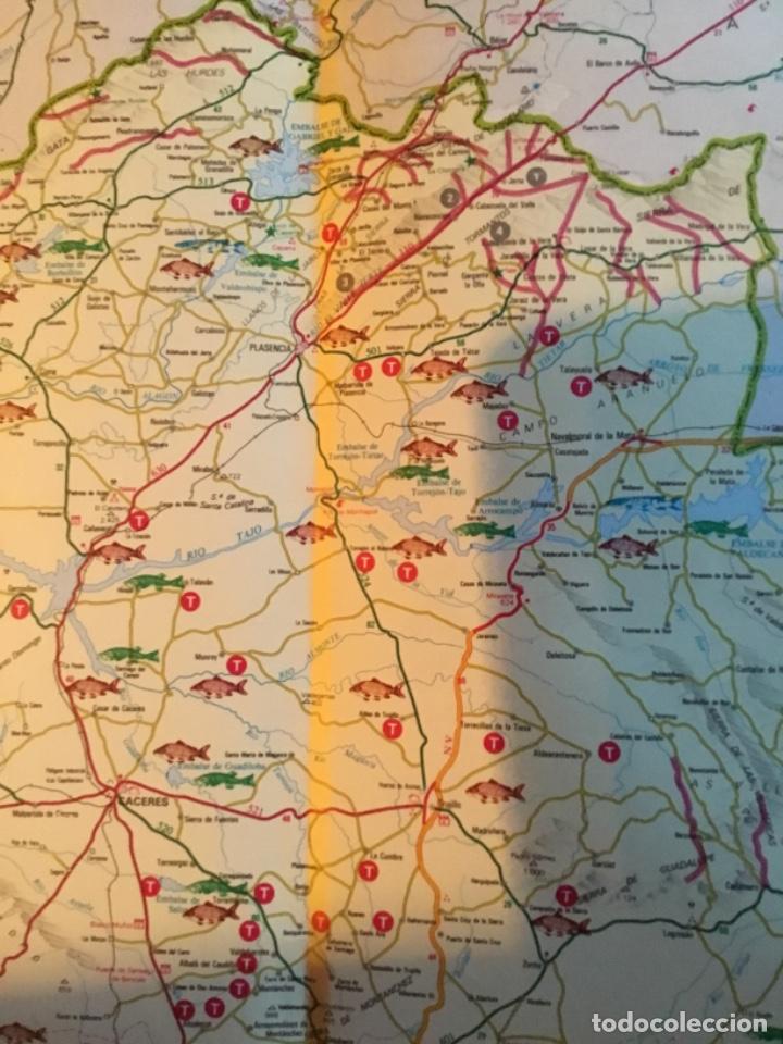 Coleccionismo deportivo: Mapa auton&oacute;mico de pesca Extremadura - Foto 2
