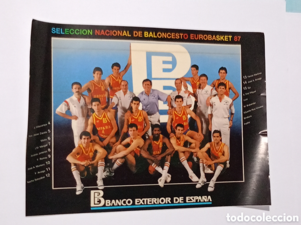 Collezionismo sportivo: Antigua gran pegatina SELECCI&Oacute;N NACIONAL DE BALONCESTO EUROBASKET 87