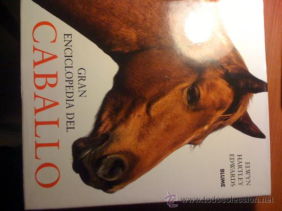 Enciclopedias antiguas: Gran Enciclopedia del Caballo - Foto 1