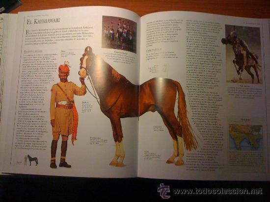Enciclopedias antiguas: Gran Enciclopedia del Caballo - Foto 3