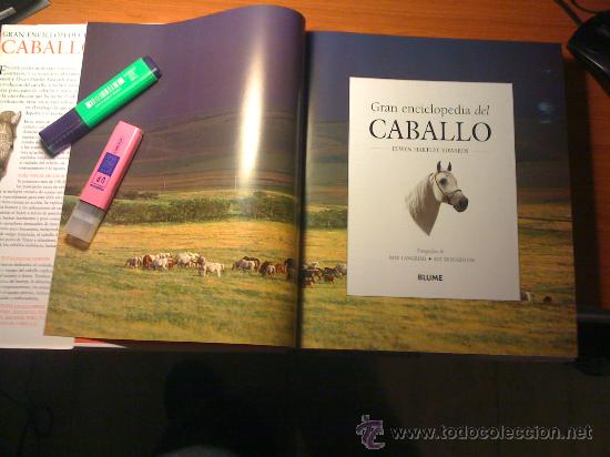 Enciclopedias antiguas: Gran Enciclopedia del Caballo - Foto 4