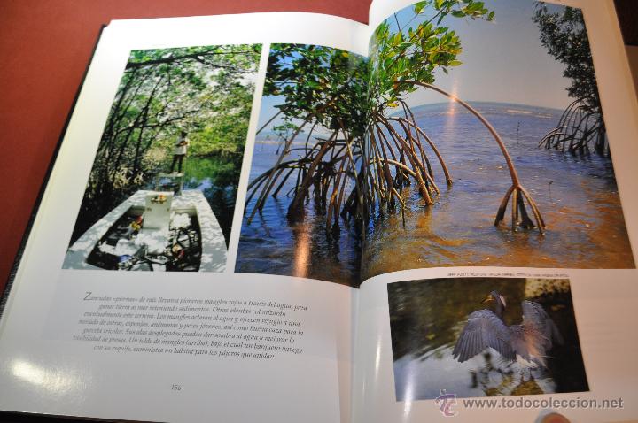 Enciclopedias antiguas: LOTE 6 LIBROS NATIONAL GROGRAPHIC - - Foto 3