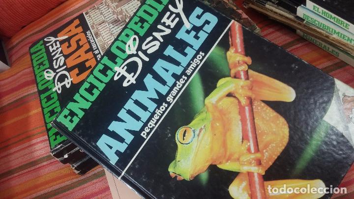 Enciclopedias antiguas: ENCICLOPEDIA DISNEY - Foto 9