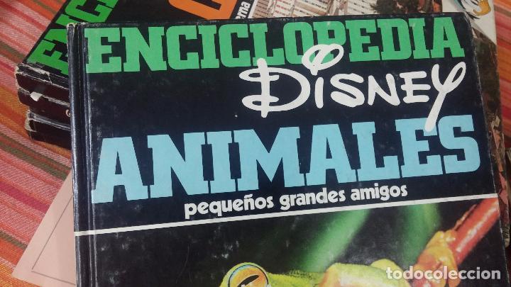 Enciclopedias antiguas: ENCICLOPEDIA DISNEY - Foto 10