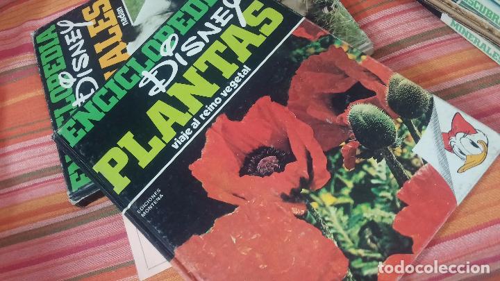 Enciclopedias antiguas: ENCICLOPEDIA DISNEY - Foto 18