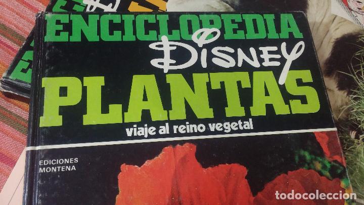 Enciclopedias antiguas: ENCICLOPEDIA DISNEY - Foto 19
