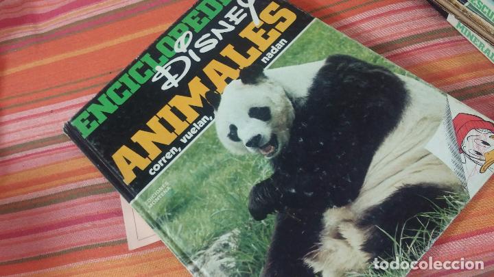 Enciclopedias antiguas: ENCICLOPEDIA DISNEY - Foto 20
